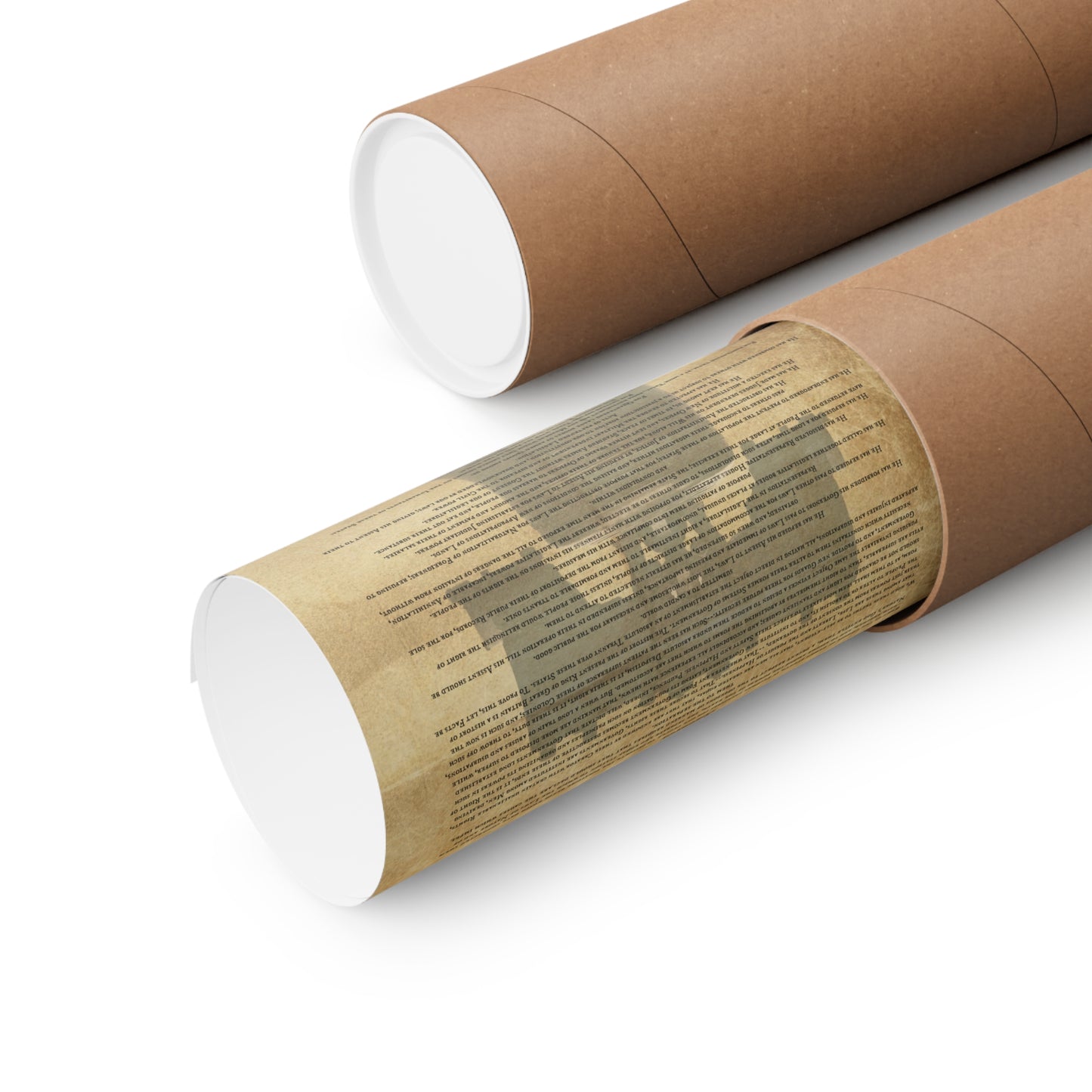 Declaration of Independence: Premium Matte Vertical Posters